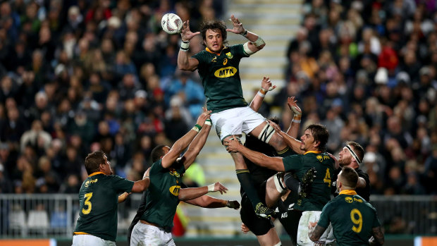 New heights: The Springboks are aiming for a strong start to the Test season.