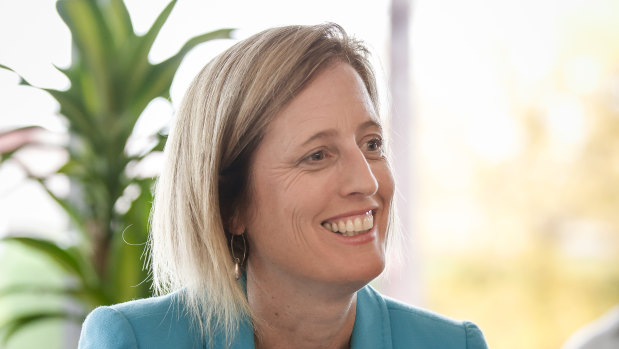 Former ACT senator Katy Gallagher has announced she will run for Senate preselection, sparking a lower house race to represent the party in Canberra.