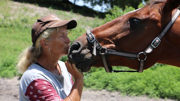 Debbie Barber, who runs a horse sanctuary near Newcastle, NSW.