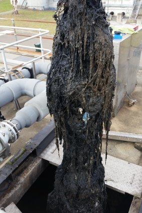 A blockage of wet wipes also known as a fatberg.