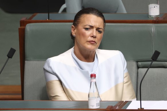Labor MP Libby Coker is unimpressed at being accused of trolling. 