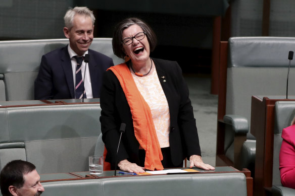 Cathy McGowan, pictured during her valedictory speech in federal Parliament, represented Indi between 2013 and 2019.