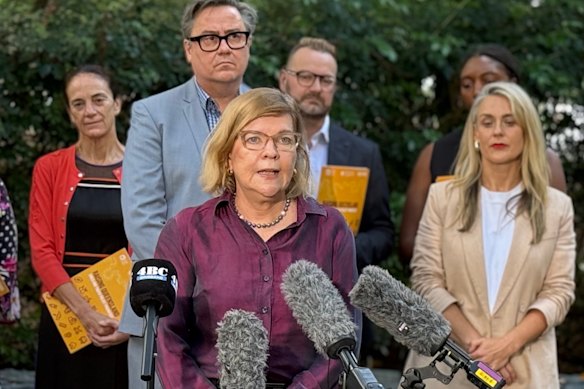 Professor Karen Healy’s report was released as frontline services launched a campaign to raise standards for Queensland kids.