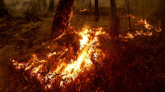 Fires between Orbost and Cann River.