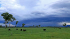 There is something about owning a big cattle station, or producing lots of steaks, that appeals to billionaires. 