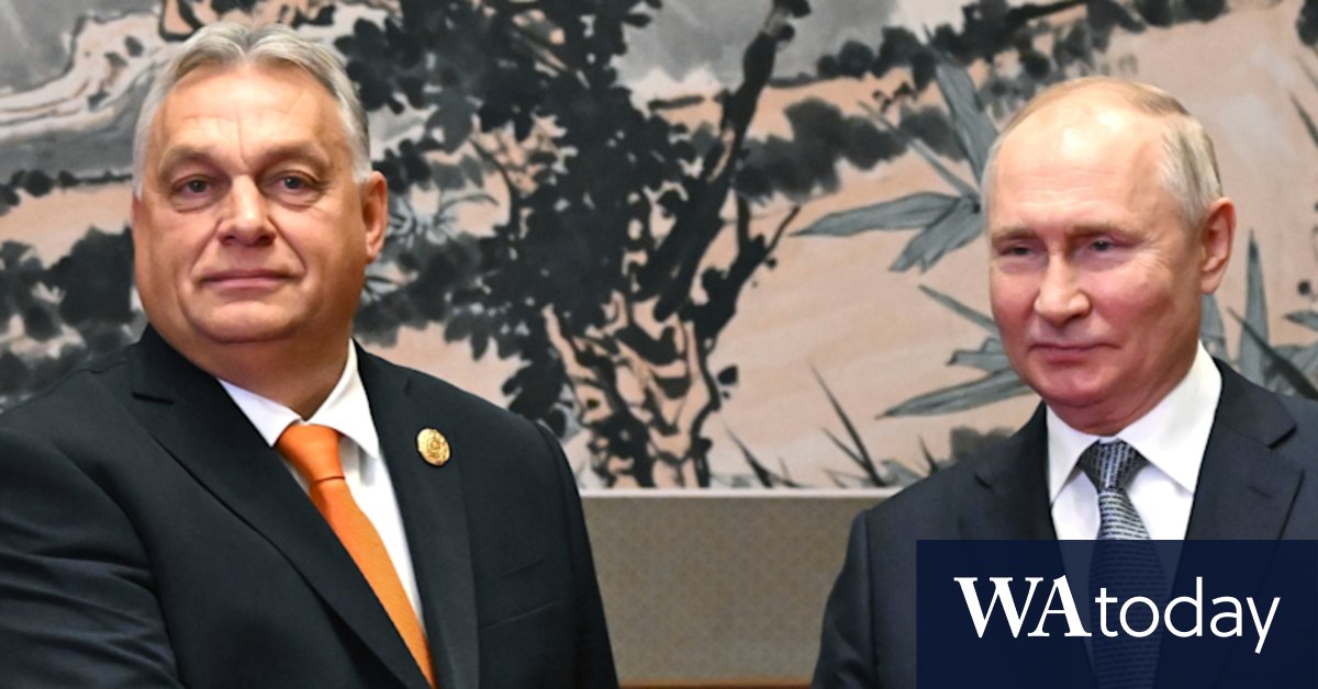 Viktor Orban-led Hungary in crisis after President Katalin Novak resigns over pardon outcry - Vimarsana News