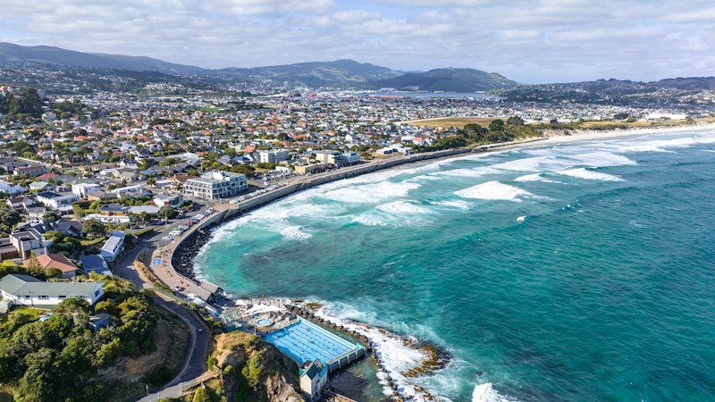 Clever, cool and quirky, is this New Zealand’s most underrated city?
