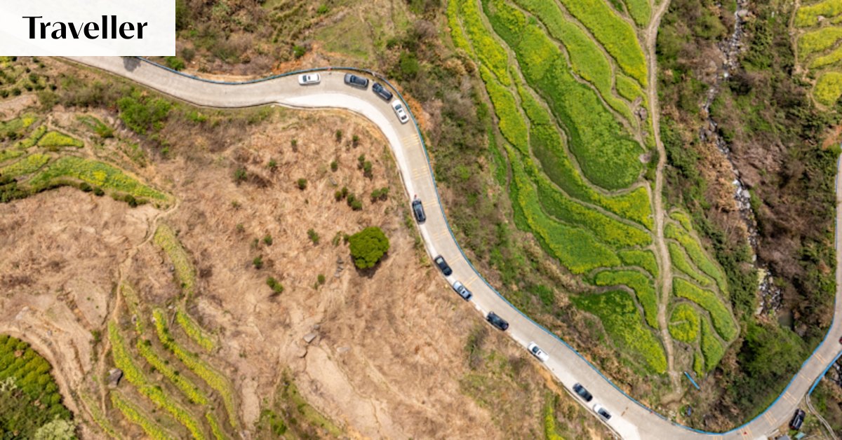 ‘Sir, better to be closing eyes’: My terrifying car rides overseas