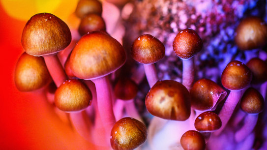 Psilocybin, the active ingredient in magic mushrooms, has been approved for treatment-resistant depression.