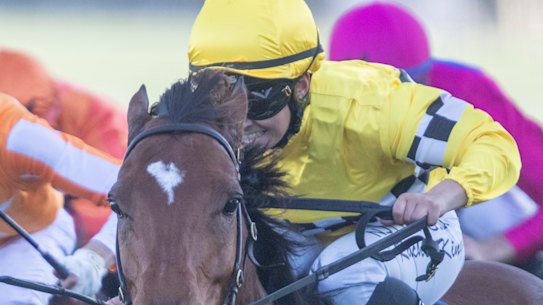 Second-up specialist Rocha Clock charges to victory in the Dark Jewel Classic in May
