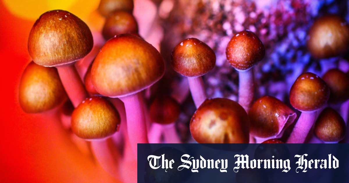 Australia has become the first country to recognise psychedelics as medicines, after the Therapeutic Goods Administration took researchers by surprise