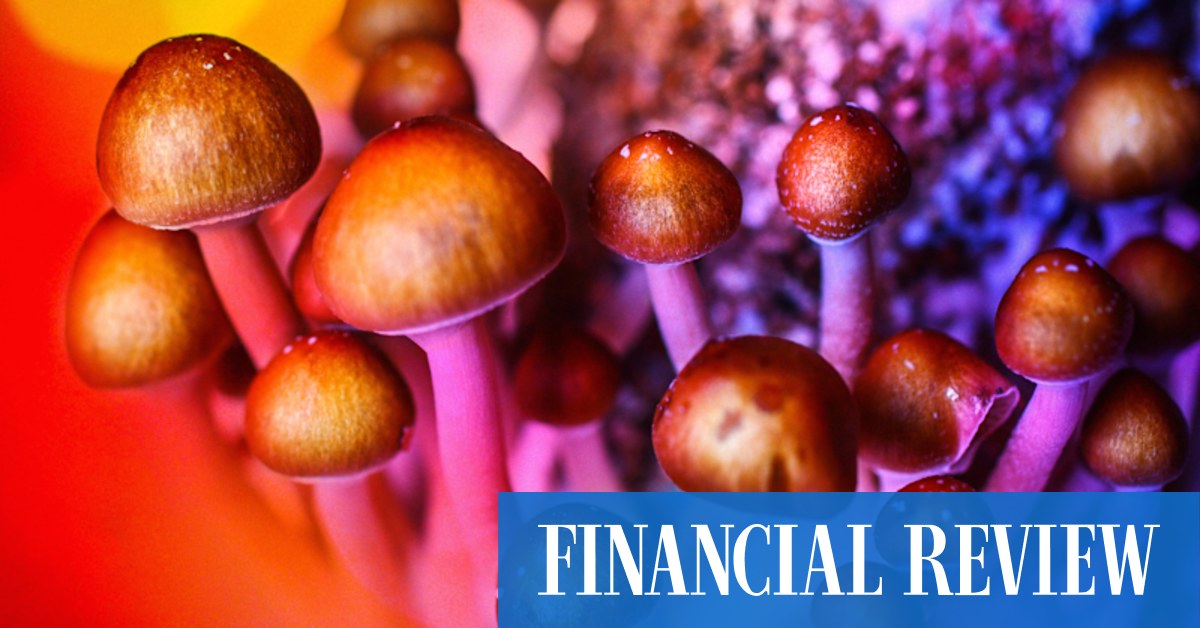 Aussie companies ramp up MDMA, magic mushroom trials despite TGA - Vimarsana News