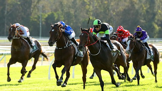 Racing returns to Gosford on Thursday.