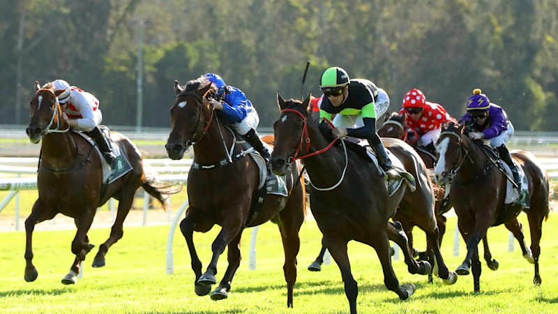 Doyle hopeful Malabar can spark more success at Gosford