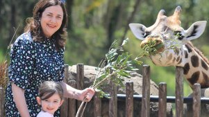 Lnp Taking On Water In Latest Queensland Polling But Says It Has A Plan