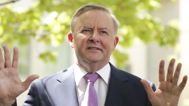 Proposal for an Indigenous 'Voice' ignores critical element: Albanese