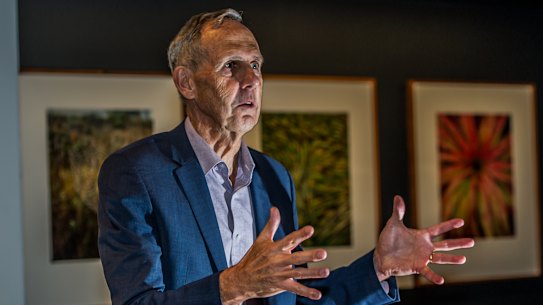 Former Greens leader Bob Brown considered talks on forming a breakaway Greens party but ultimately decided they should stay united. 