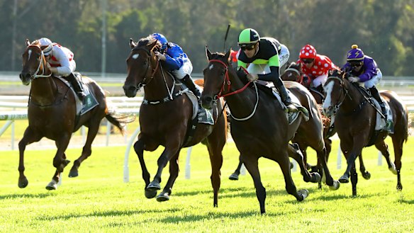 Racing returns to Gosford on Thursday.