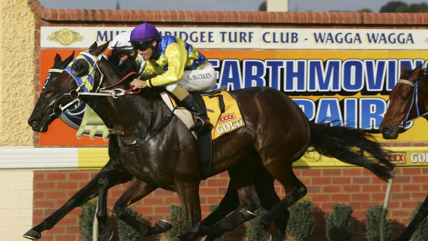 Big day out: The Ted Ryder Cup headlines an eight-race card at Wagga on Monday.