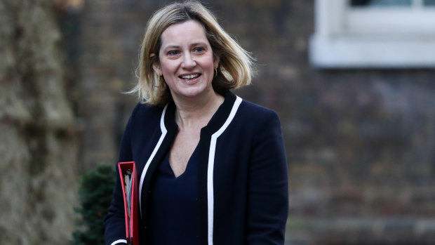 Amber Rudd, the UK work and pensions secretary, is reported to have backed the idea of 'flushing out' Brexit options.