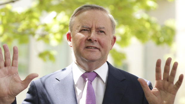 Anthony Albanese says Ken Wyatt's proposal for an Indigenous Voice to government ignores the key demand to write it into the Constitution. 