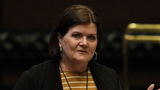 Local Government Minister Shelley Hancock.