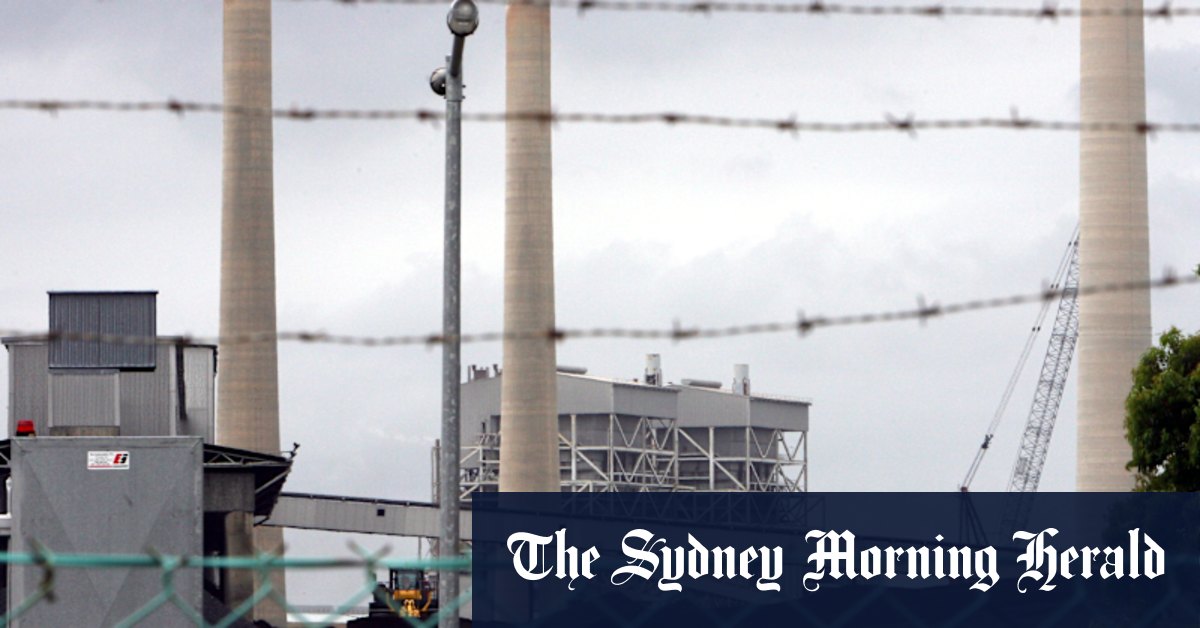 NSW mining boss forged partner's signature amid $20m coal fight - Vimarsana News