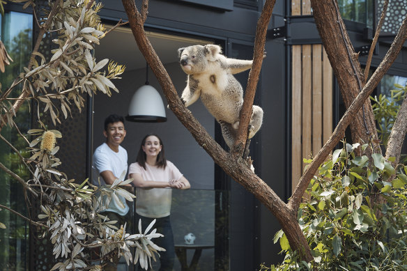 Guests can get up close with native wildlife.