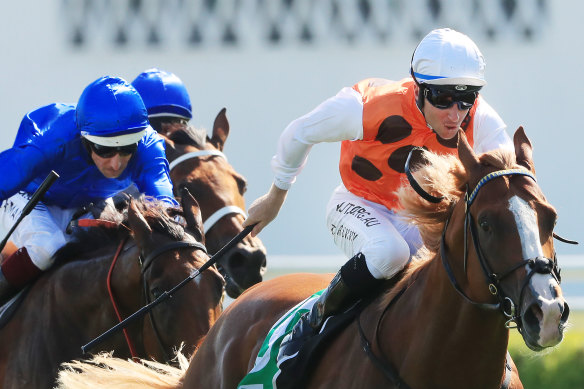 Flashy colt Standout powers away from Alizee in  the Expressway Stakes.