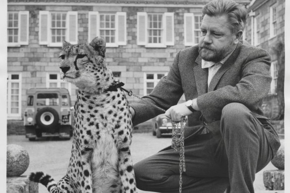 Gerald Durrell with a cheetah named Paula in 1967.