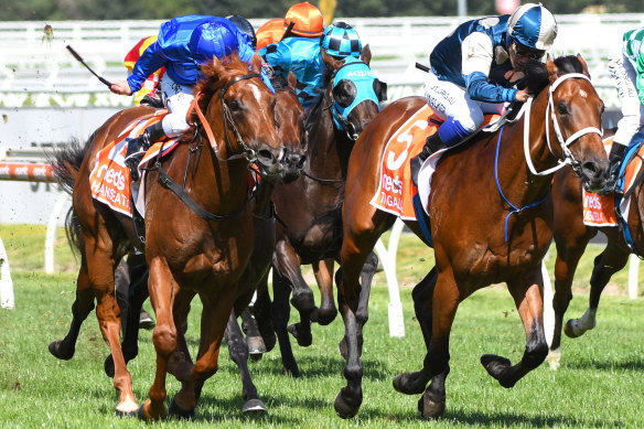 Tagaloa, right, holds off Hanseatic to win in the Blue Diamond Stakes at Caulfield.