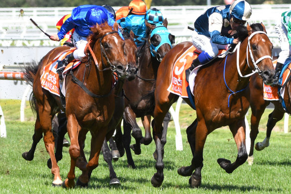  Tagaloa, right,  holds off Hanseatic to win in the Blue Diamond Stakes at Caulfield.