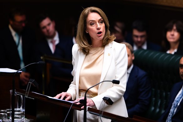 NSW Opposition Leader Kellie Sloane.