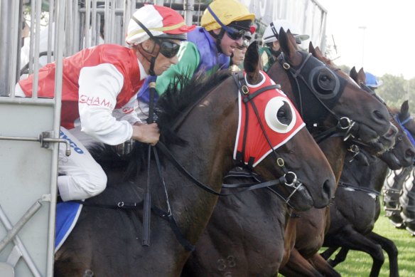 Horses are fitted out with ‘blinkers’ at a race at Rosehill.