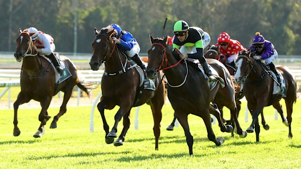 Doyle hopeful Malabar can spark more success at Gosford