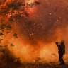 Bushfires are expected to occur more frequently and become more intense under climate change.