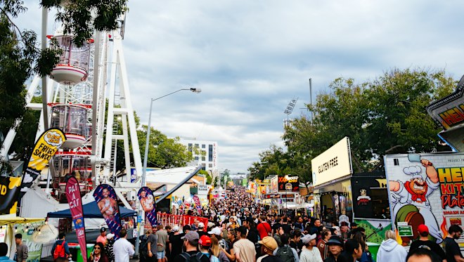 One Nation alleges its Ekka volunteer was attacked near showgrounds gates