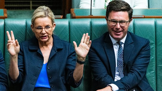 Sussan Ley and David Littleproud in question time earlier this year.