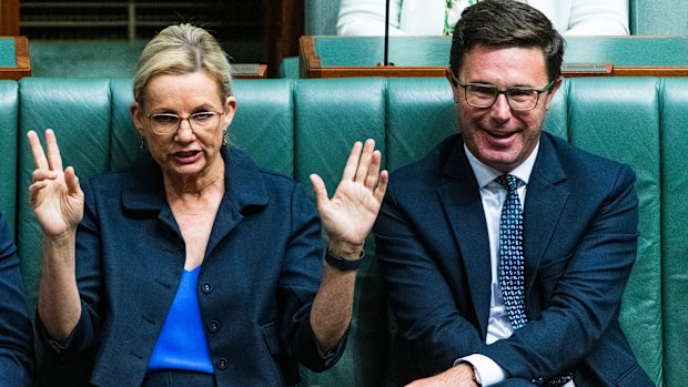 Sussan Ley and David Littleproud in question time earlier this year.