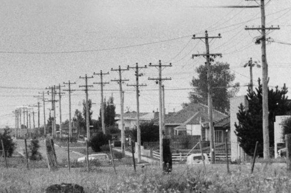 St Albans, pictured in 1973, when it had an 80 per cent migrant population. 