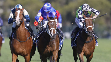 Racing returns to Hawkesbury on Sunday with an eight-race card.