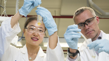 Professor Mark Taylor and student Xiaoteng Zhou at Macquarie University have completed a survey of 100 samples of honey which shows Australia has adulterated honey. 