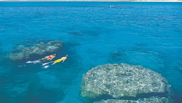 Oceans provide a natural ‘carbon sink’, absorbing carbon dioxide before releasing it again after a long period.