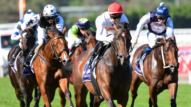 Racing hits the Sapphire Coast on Sunday.