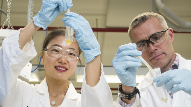 Professor Mark Taylor and student Xiaoteng Zhou at Macquarie University have completed a survey of 100 samples of honey which shows Australia has adulterated honey. 