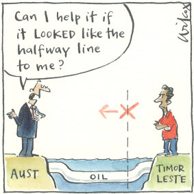 Illustration: Cathy Wilcox