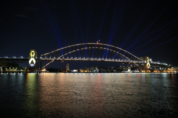 The Sydney Opera House and Harbour Bridge were illuminated in yellow for road safety week in November yet experts say a well proven method of saving lives is not being used in NSW for political reasons. 
