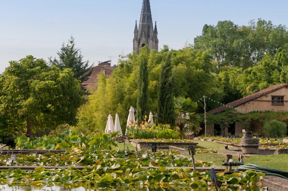 Without Latour-Marliac, Monet may never have had his lilies.