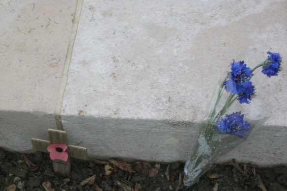 A poppy and cornflowers at VC Corner, a cemetery on the Western Front in 2010.