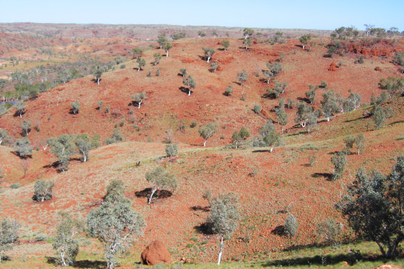 The lands of the Yindjibarndi covers 13,000 square kilometres of WA’s iron ore-rich Pilbara.